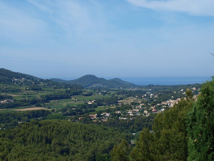 La Cadière-d'Azur