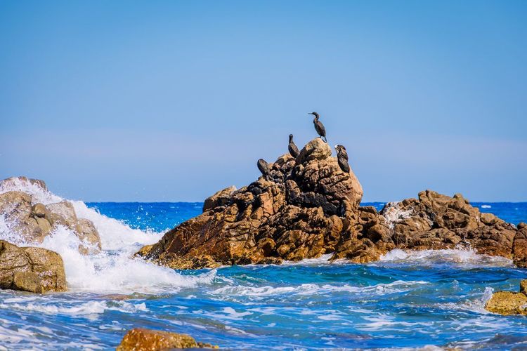 Corse du Sud