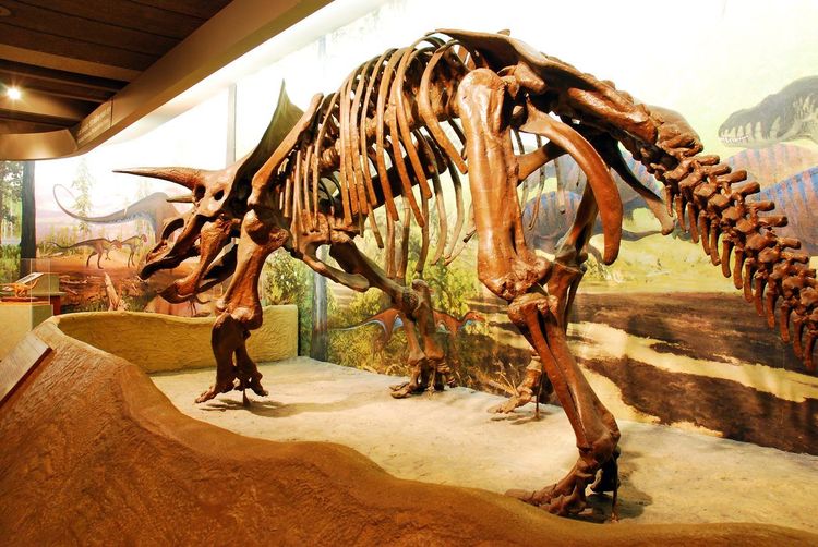 Museum of Science Boston