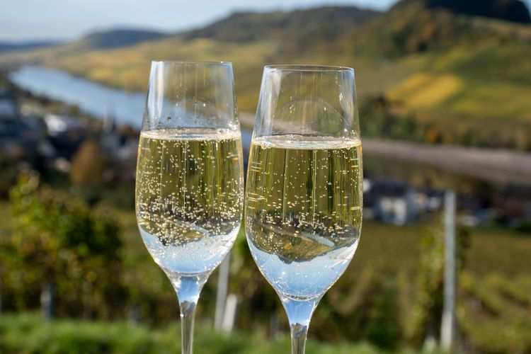 dégustation vins Alsace