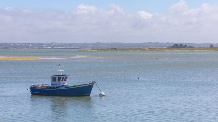 pêche à pied Le Croisic