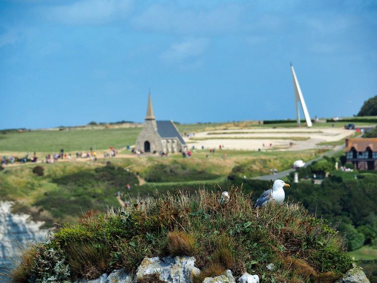 Monument Nungesser Coli