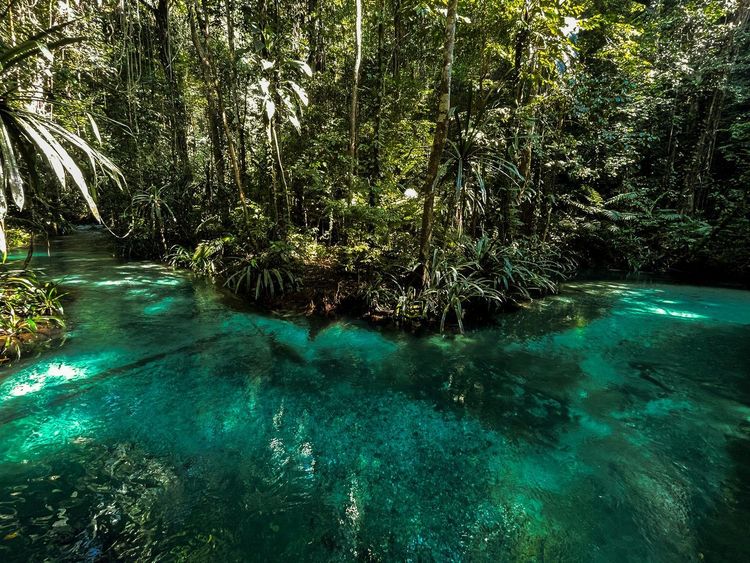 Raja Ampat