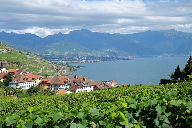 Village viticole Lavaux