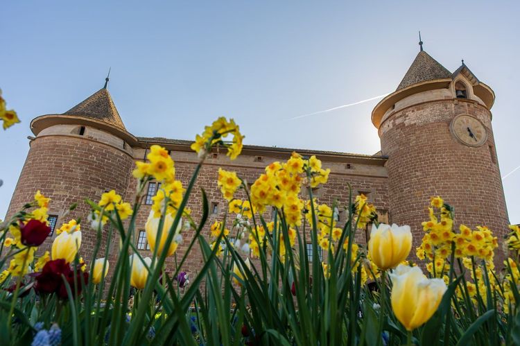 Château de Morges
