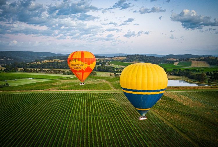 Yarra Valley vignoble