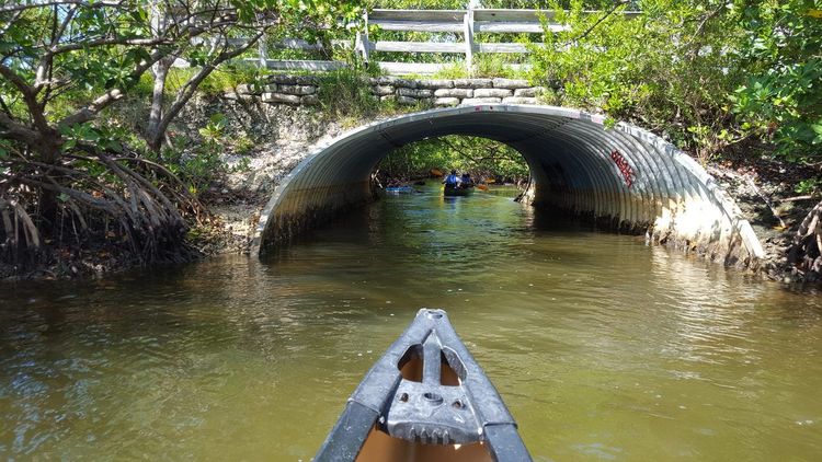 Oleta River State Park