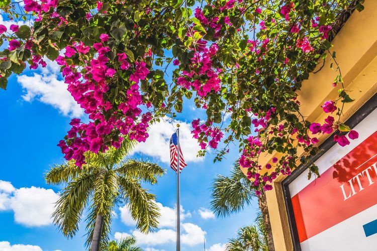 Little Havana Miami