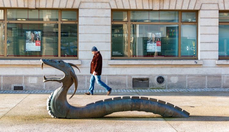 Dragons de Niort