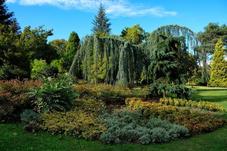 Arboretum de Payssas