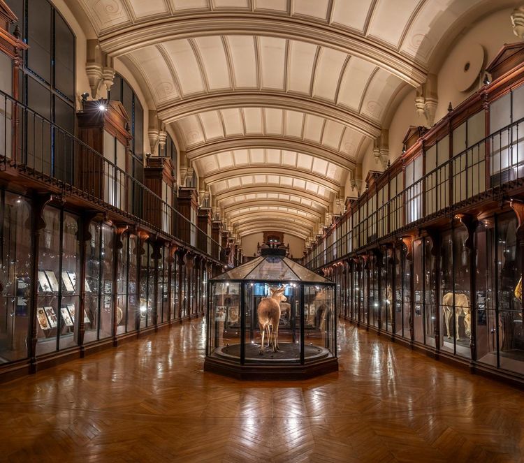 Grande Galerie de l'Évolution