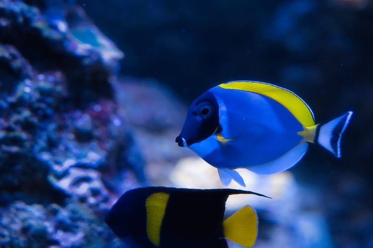 Aquarium de Paris