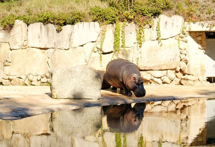 Zoo de Prague