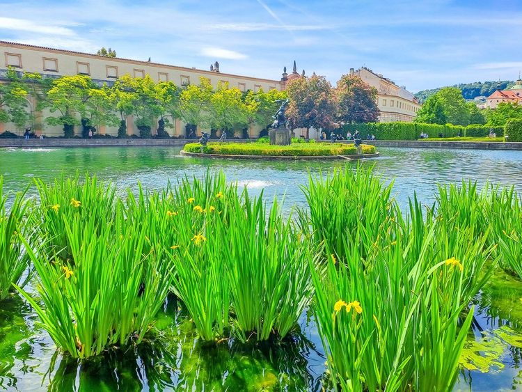 Jardins Wallenstein