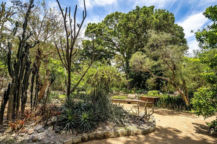 Jardim Botânico Rio de Janeiro