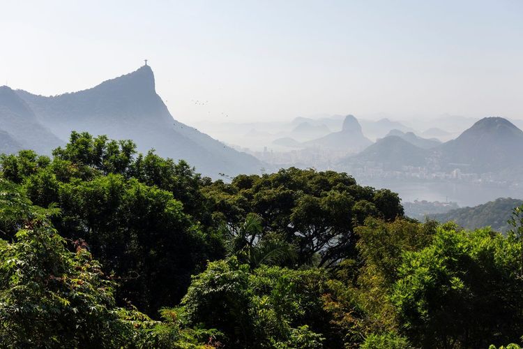 Parc national de Tijuca