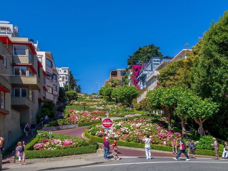 Lombard Street San Francisco