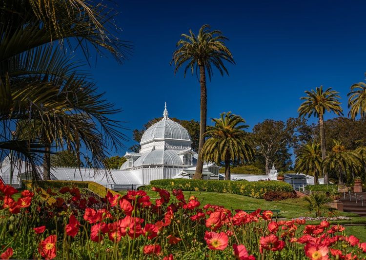 Golden Gate Park