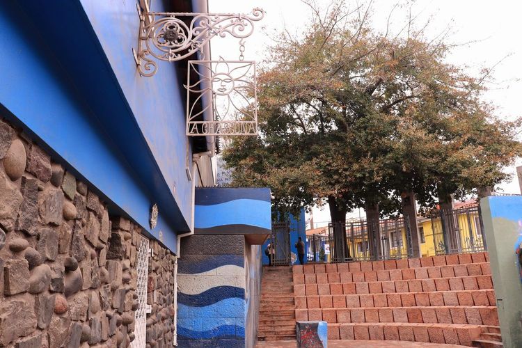 La Chascona