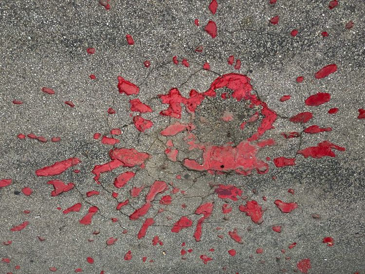 Roses de Sarajevo