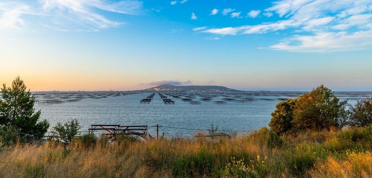 Mont Saint-Clair Sète