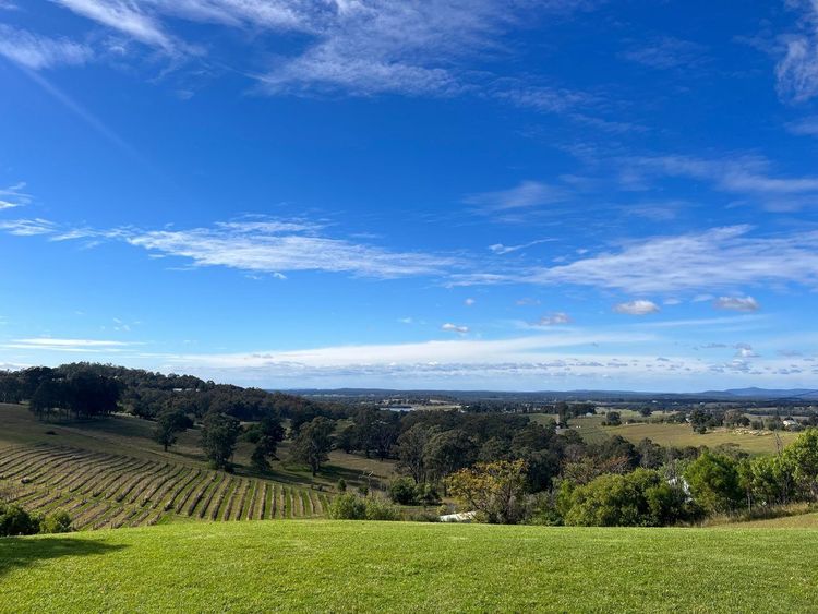 Hunter Valley vignoble
