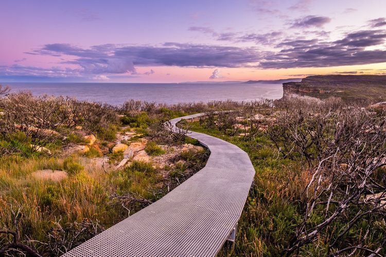Royal National Park