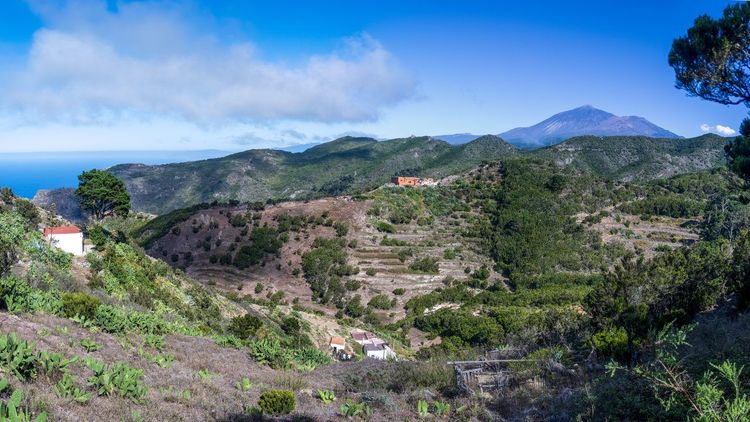 Parc Rural de Teno