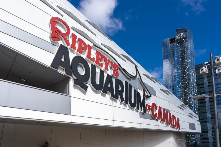 Ripley's Aquarium Canada