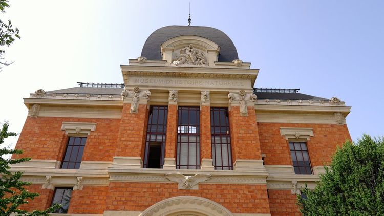 Muséum d'Histoire Naturelle de Tours