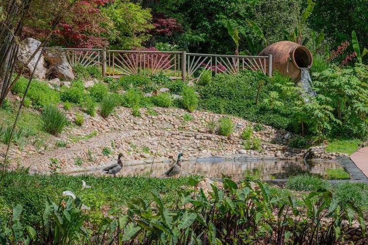 Jardins des Martels