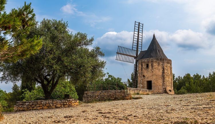 Moulin de Daudet