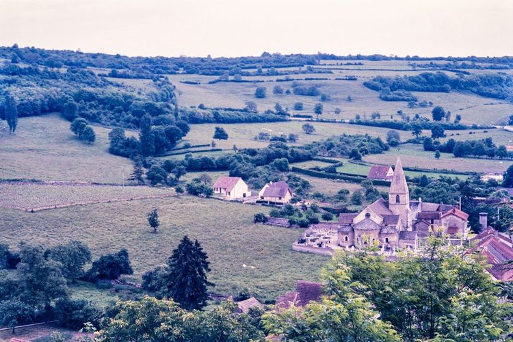 Santenay village vignoble