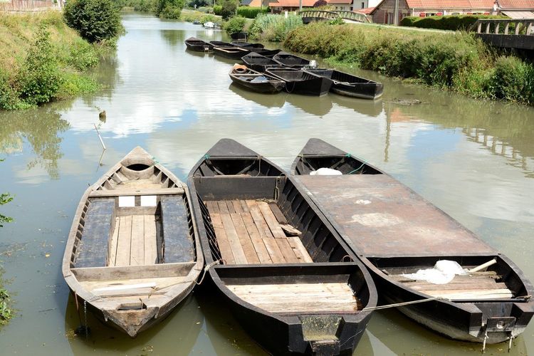 Marais audomarois