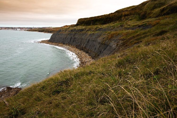Côte d'Opale dunes