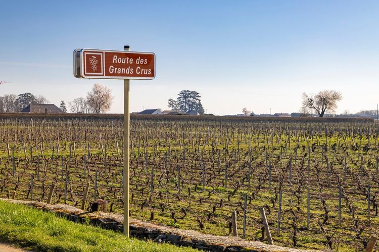 Route des grands crus Bourgogne