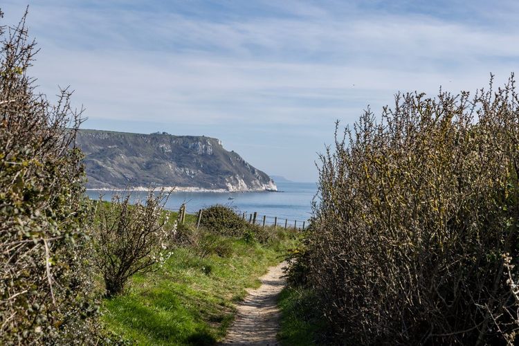 Sentier littoral Giens