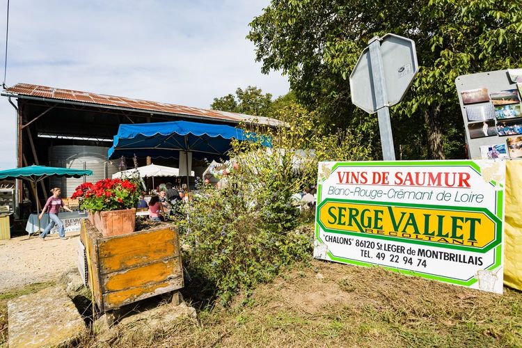 vignoble Saumur-Champigny