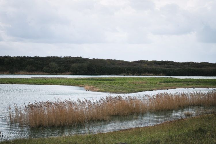 Marais de la Somme