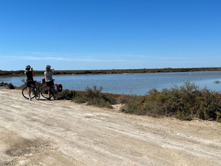 vélo Camargue