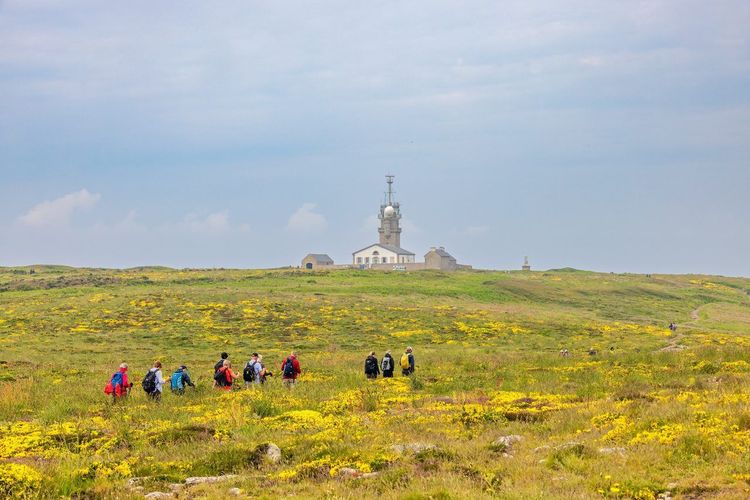 randonnée Bretagne lande fleurie
