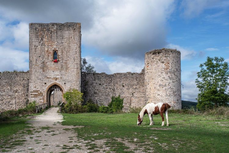 Châteaux cathares à cheval