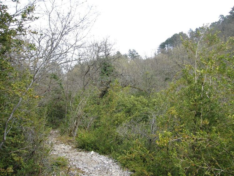 Combe à la Serpent