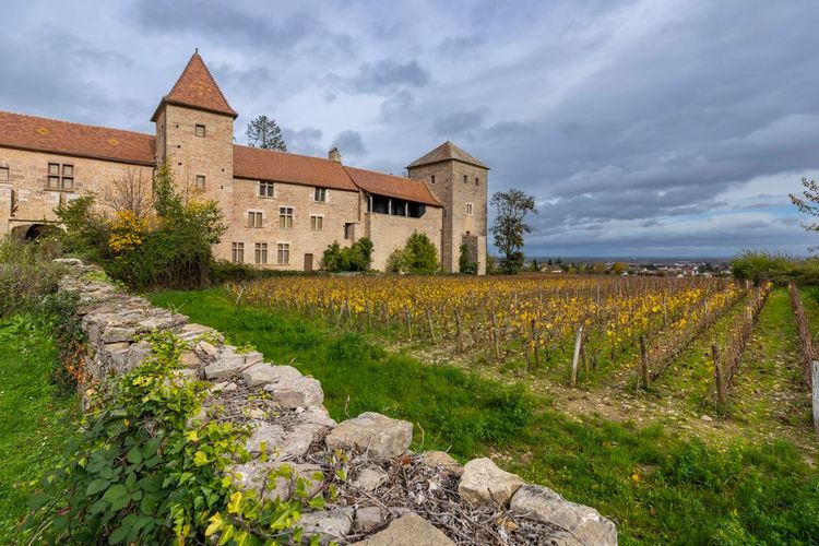 Gevrey-Chambertin vignoble