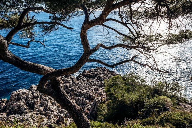 Roquebrune-Cap-Martin randonnée