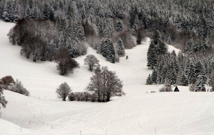 Désert d'Entremont