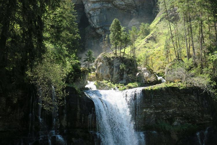 Cascade Chartreuse