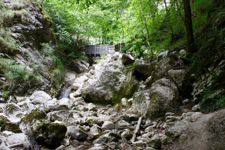 Cascades d'Alloix