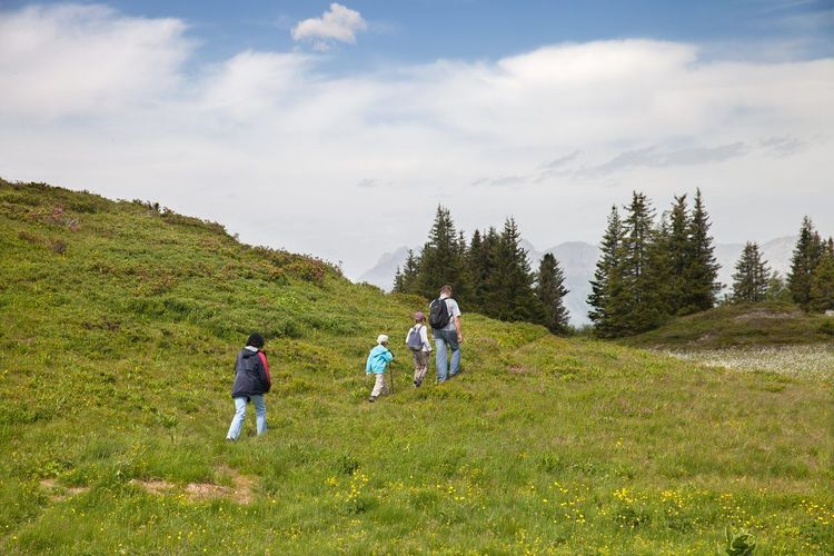 Chartreuse randonnée famille