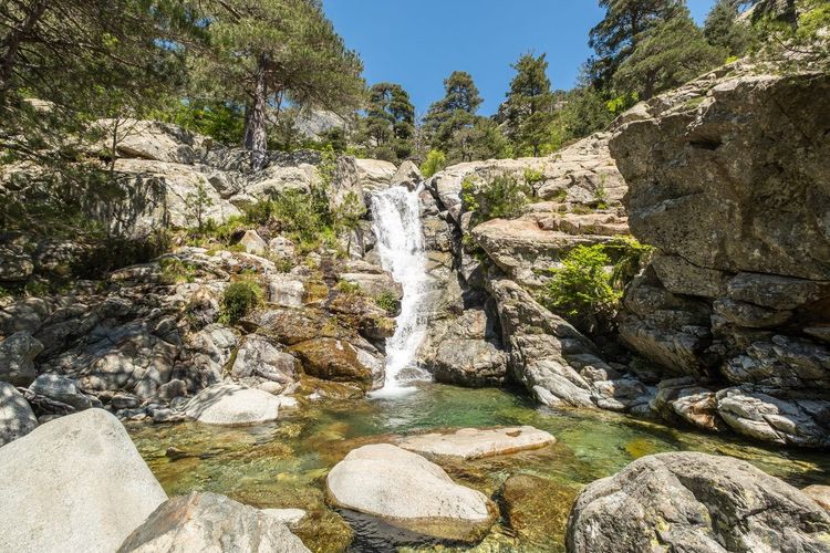 Cascade des Anglais Vizzavona